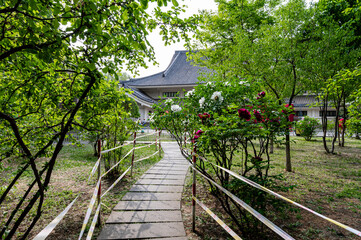 View of Peony Garden in Changchun, China