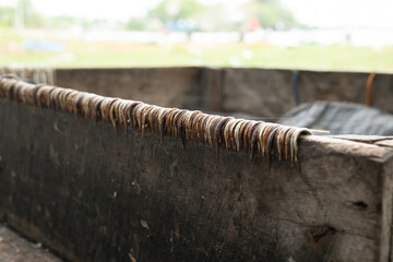 Rows of fishing hooks in wooden crates to catch fish. Fishing and hobby concept.