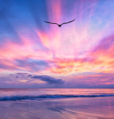 Sunset Bird Flying Ocean Flight Colorful Divine Inspirational Beautiful Surreal Vertical Image