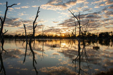 Sunset at Lara Wetlands in western Queensland, Australia.