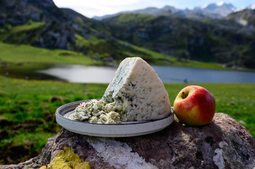 Cabrales artisan blue cheese made by rural dairy farmers in Asturias, Spain from cow’s milk or...