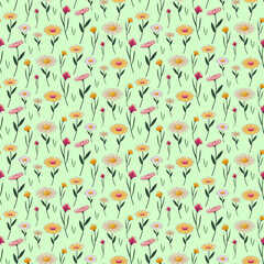 Pattern with colorful daisies. Floral print. Vector seamless on colored background. For covers and brochures, fabric, fashion industry, packaging and social media.