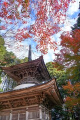 青空バックに見上げるカラフルなモミジの紅葉に囲まれた宝塔の情景