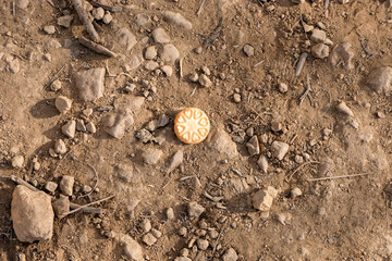 Round biscuit snack dropped on the muddy dirty ground outdoors while walking a hiking trail in wilderness