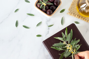 Human hand holding olive branch over closed bible book, extra virgin olive oil and green leaves on white. Top view. Anointing oil, peace, healing, and reconciliation concept.