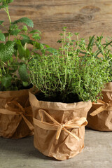 Different aromatic potted herbs on wooden table