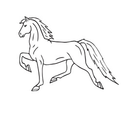 Naklejka na ściany i meble Vector hand drawn doodle sketch American Saddlebred horse isolated on white background