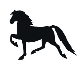 Fototapeta na wymiar Vector hand drawn American Saddlebred horse silhouette isolated on white background