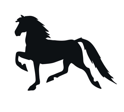 Vector hand drawn American Saddlebred horse silhouette isolated on white background