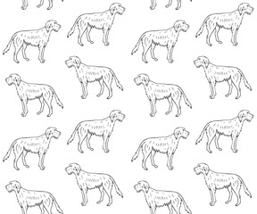 Vector seamless pattern of hand drawn doodle sketch wolfhound dog isolated on white background