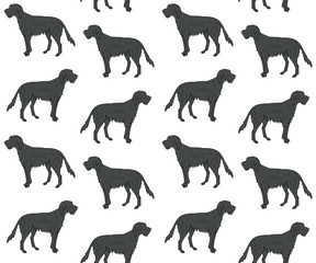 Vector seamless pattern of hand drawn doodle sketch colored wolfhound dog isolated on white background