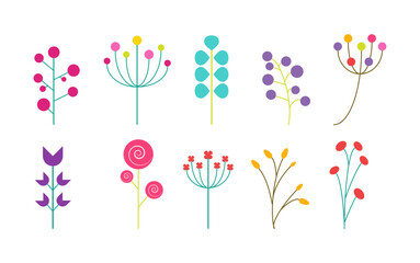 Romantic flower collection with flowers, twigs, leaves, herbs and berries. Vector design isolated on white background.