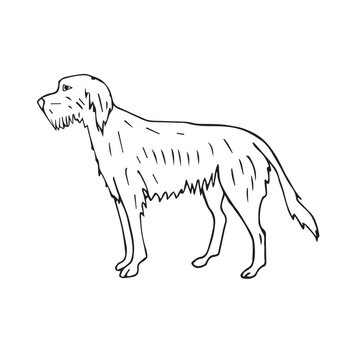 Vector hand drawn doodle sketch wolfhound dog isolated on white background