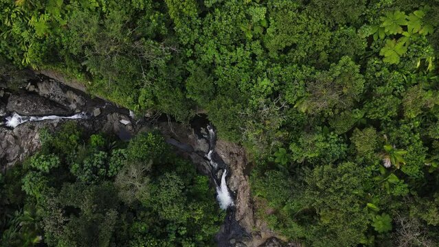 Falls and pool below La Mina Falls in the El Yunque rain forest in the Caribbean National Forest, Puerto Rico