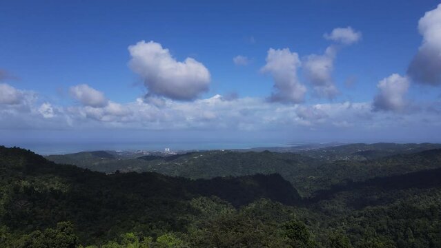 aerial view of Yokahu Tower in El Yunque forest Puerto Rico