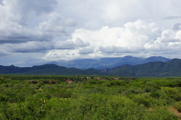 Fototapeta na wymiar Paisaje de pradera con fondo de montañas y nubes pronunciadas