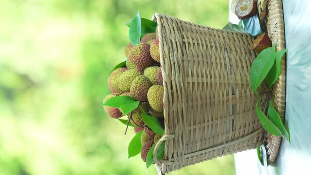 Chinese Green Lychee fruit in wooden basket over blur greenery background, Green Lychee or Chinese Cherry fruit over green natural Blur background.