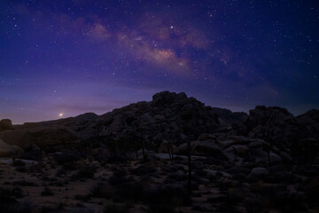 starry sky and milky way galaxy at night in Joshua Tree National Park Mojave,  USA