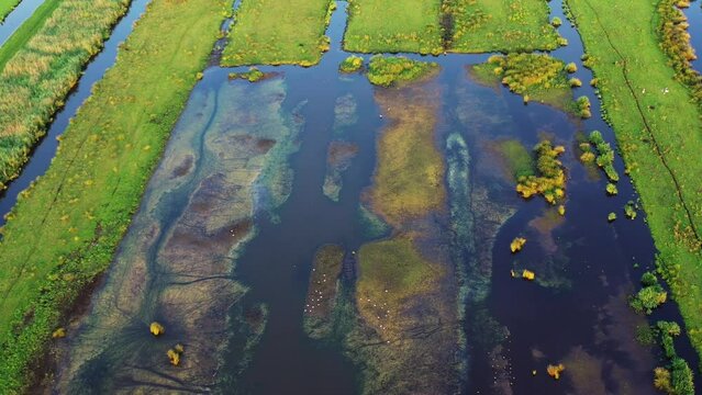 Sustainable farmlands and floodplain water with wetland birds soaring, aerial