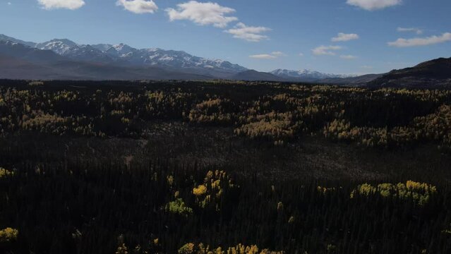 Denali national park Savage river Canyon trail view at fall