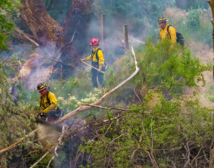 Obraz premium Wildland firefighters engaged in suppression operations at a vegetation fire