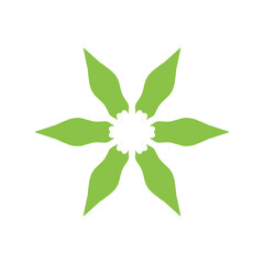 Leaf Ecology Icon 