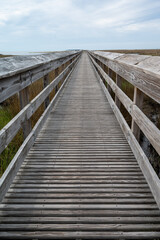 Fototapeta na wymiar A wooden walkway leading out into a natural area in Florida