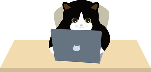 ノートパソコンに向かいデジタルデータを駆使する猫　白黒猫
