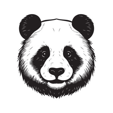 panda, vintage logo line art concept black and white color, hand drawn illustration