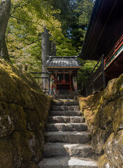 this is from oplus camera