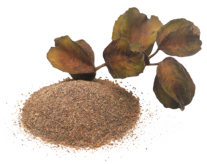 Ayurvedic arjun with ground powder