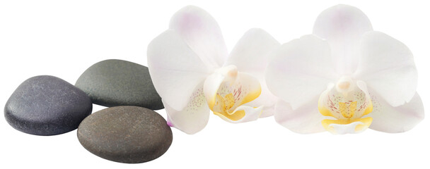 Spa stone with orchid flower