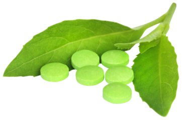 Adhatoda vasica or medicinal Basak leaves