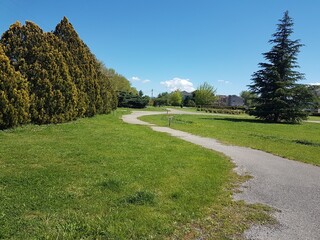 Fototapeta na wymiar garden paths and road in spring with green lawn and firs trees in sunny day