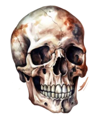 skull in the style of dark gothic watercolor