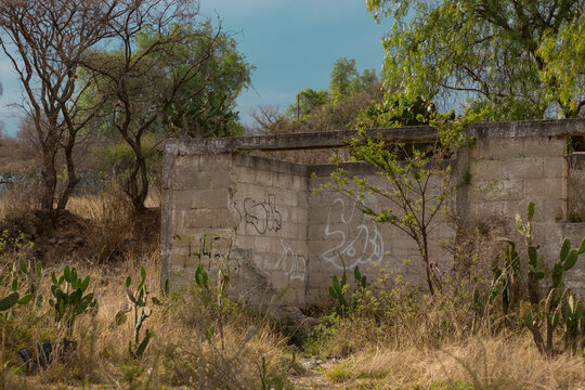 Construcci&oacute;n de una casa abandonada en medio en un bosque templado