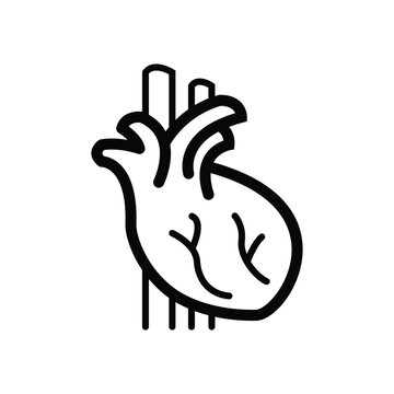 Human heart vector icon