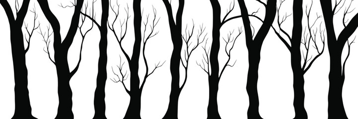 Silhouettes of trees, tree trunks and branches isolated on white background, natural background, banner
