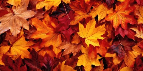 Naklejka na ściany i meble autumn leaf with generative ai