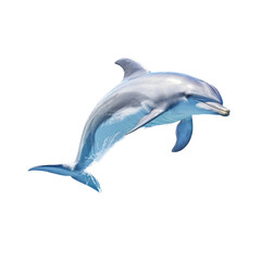 an isolated Dolphin jumping and swimming, Aquatic-themed, photorealistic illustration on a transparent background cutout in PNG. Generative AI