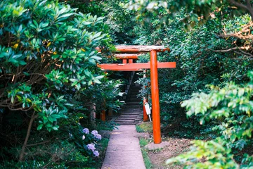 Poster 林の中に突然現れた真っ赤な鳥居 © Japan_Travel