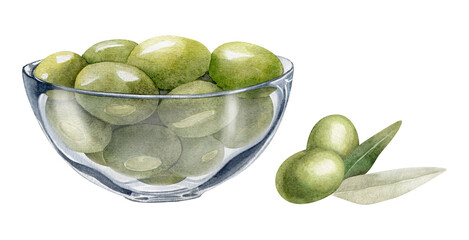 Glass bowl with green olives. Olive branches, leaves and fruits. A bowl of green olives. Vegetarian organic food. Watercolor hand drawn illustration. Isolated. For menu, packaging design