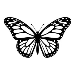 butterfly © Петро Хома