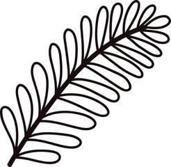 Hand Drawn palm leaves from the top view in doodle style