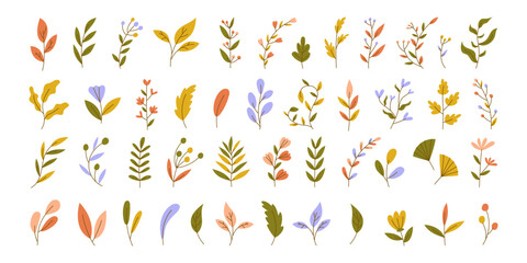 Various Branches with Flowers, Leaves and Berries. Hand drawn Colorful trendy illustration. All elements are isolated. Vector stock illustration, all elements isolated. 