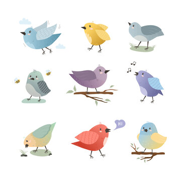 Set of cute birds sitting on a branch. Feathered colorful animals drawn in a flat style. Vector illustration on a white background in a simple cartoon style. Singing bird, flying, hand drawn bee. 