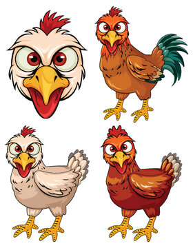 Set of chicken cartoon character