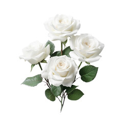 bouquet of white roses on transparent background with clipping path, Floral arrangement, bouquet of garden flowers. Can be used for invitations, greeting, wedding card generated by AI