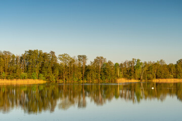 Fototapeta premium Unterwegs im Biosphärenreservat Oberlausitzer Heide- und Teichlandschaft, Teichgebiet Guttau 1