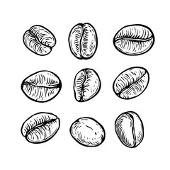 Coffee beans line art retro style monochrome